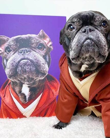 A black French Bulldog in a brown and beige robe sits next to a purple custom-pet-art-canvas-wrap-539596_1024x1024 pop art painting of itself; both gaze upward with matching expressions, surrounded by solid colors.