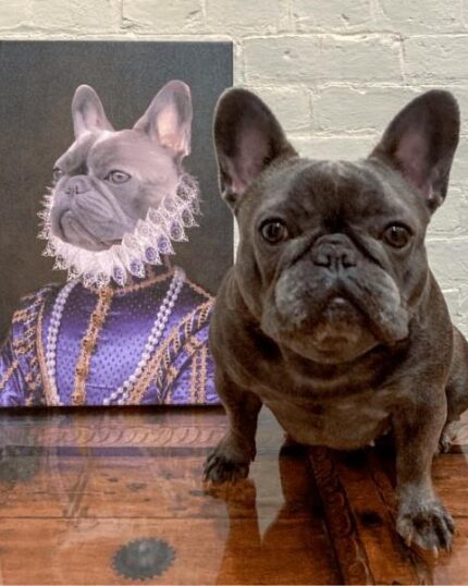 french buldog mor kraliçe petcanvas