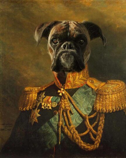 boxer köpek general suratlı