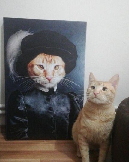 sarman kedi pet kanvas tablosu