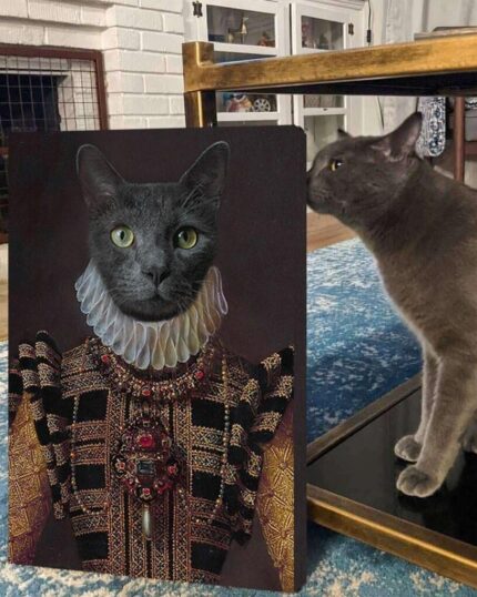 altın kraliçe kostümlü kedi