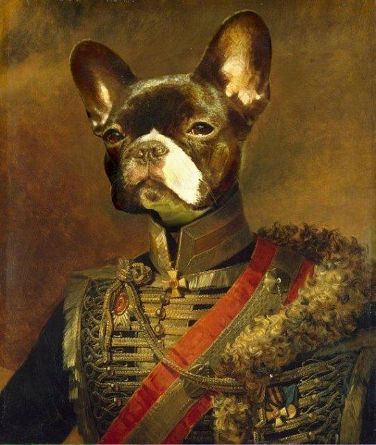 2020040800260982646 kişiye özel french buldog general