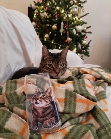 tekir kedi şeffaf telefon kılıf petcanvas