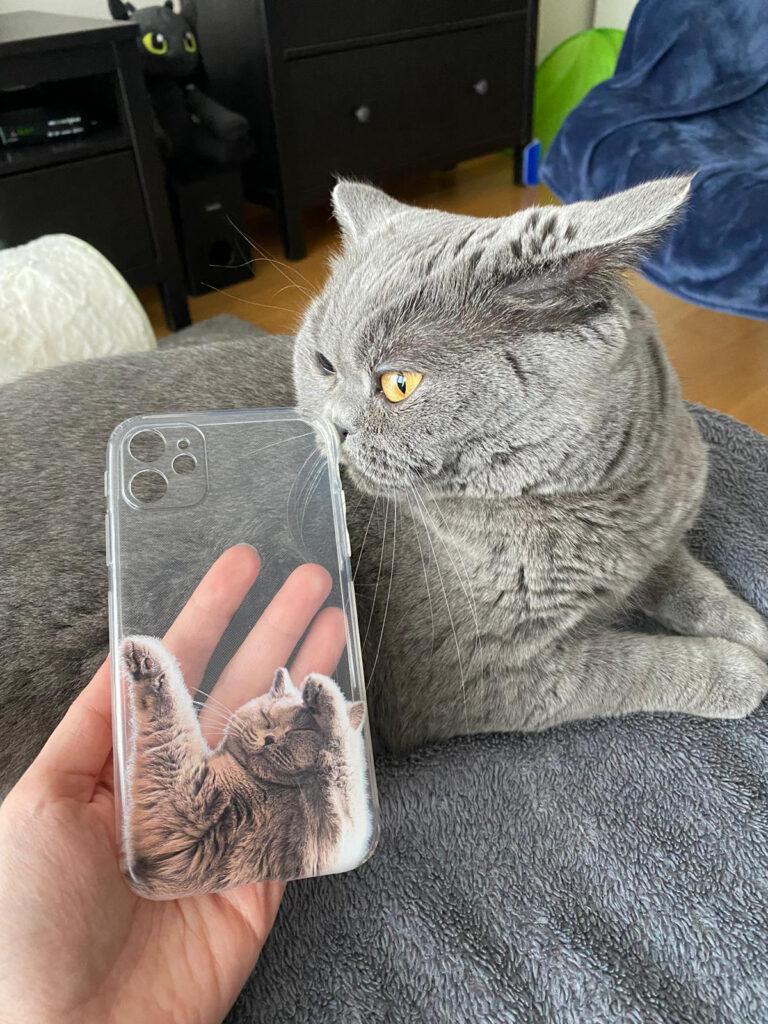 7c27f0e7 3738 46bb 8118 4d2ed9b89d4f