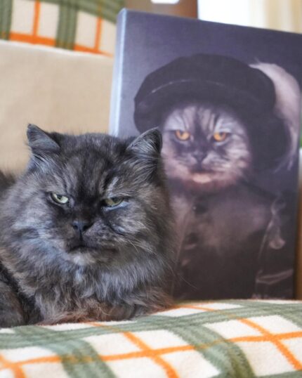 A fluffy gray cat sits on a plaid blanket with a serious expression, in front of "The Noble Gentleman #7 - Custom Design Canvas Painting," which humorously depicts the same cat dressed in old-fashioned clothing and a dark hat.
