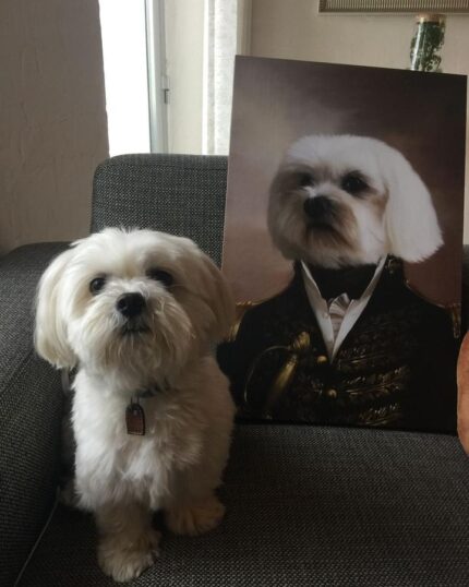 özel tasarım maltese admiral tablosu