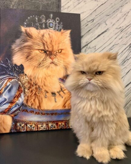 sarı iran kedisi kraliçe tablo