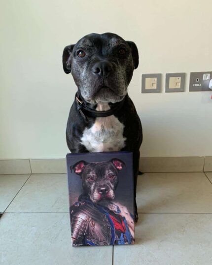 pitbull köpek şövalye pet canvas tablosu