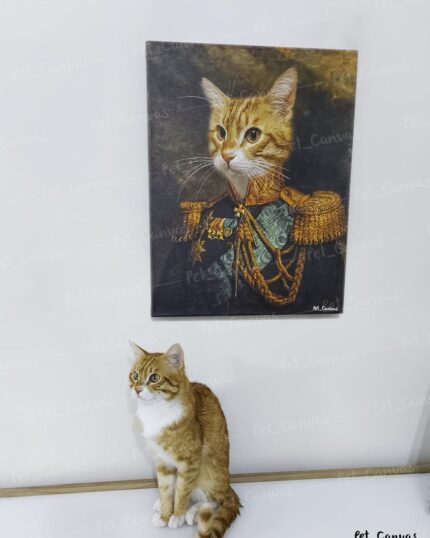 Sarman Kedi General Tablosu