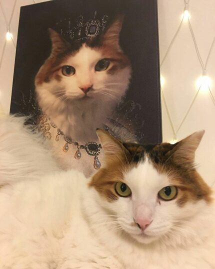 van kedisi taçlı kraliçe kostüm