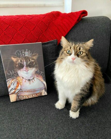 van kedisi taçlı kraliçe kostüm