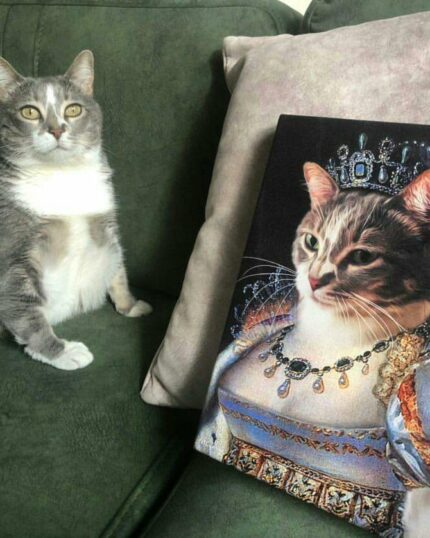 şişman kedi kraliçe kostüm