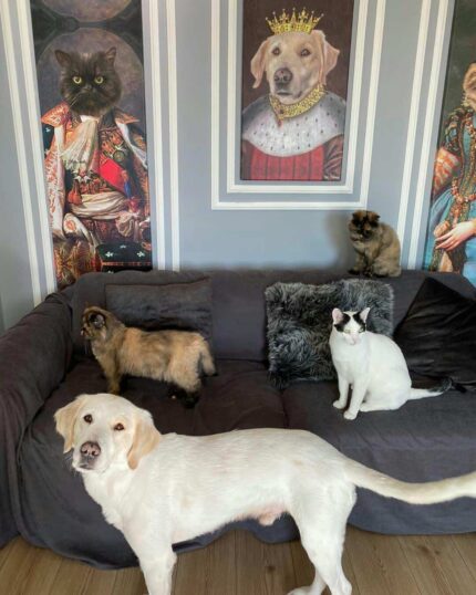 kraliyet temalı evcil hayvan tablosu