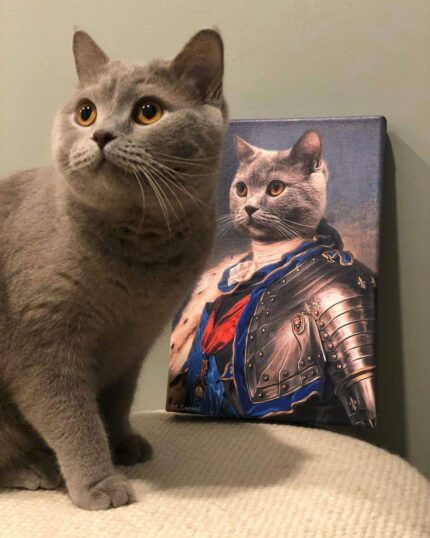 scottish kedi şövalye pet canvas tablosu