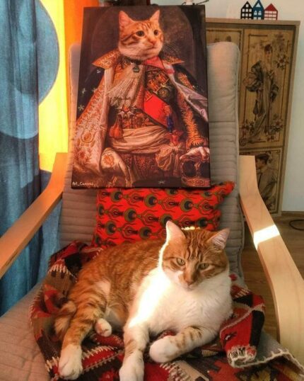 sarman kedi napolyon