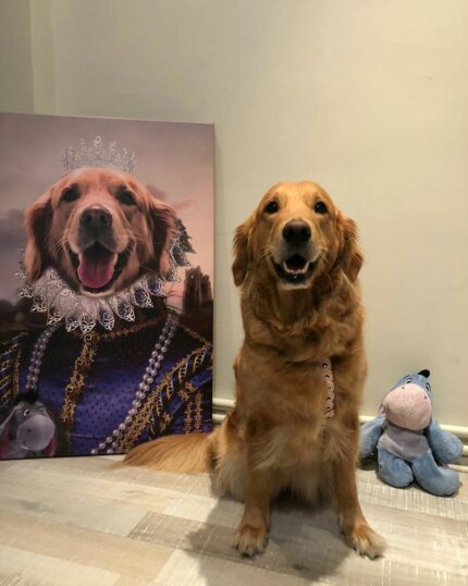 golden retriever kraliçe petcanvas