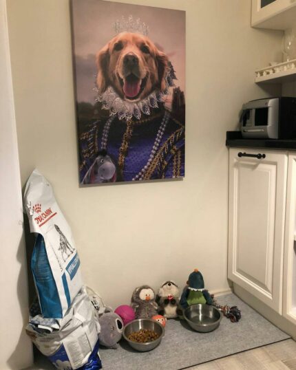 golden retriever kraliçe petcanvas