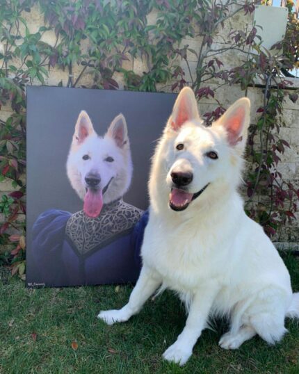 beyaz kurt asil leydi tablosu