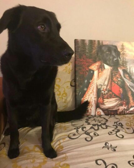 A black dog sits on a patterned couch beside The King #3 - Custom Design Canvas Painting, which shows a dog in an ornate military outfit that closely resembles the real dog.