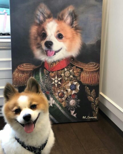 pomerian asil general tablo