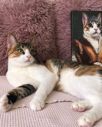 A cat lounges on a pink textured blanket with fluffy pillows beside "The Noble Lady #8 - Custom Design Pet Canvas," which displays its royal portrait. The cat's pose and expression closely mirror those in the striking canvas artwork.