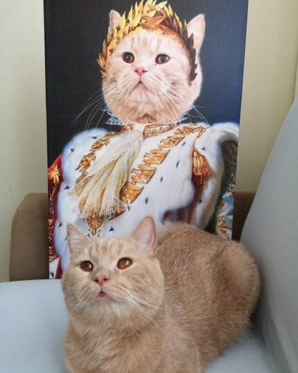 Özel Tasarım Napolyon Kedi Kanvas Tablo