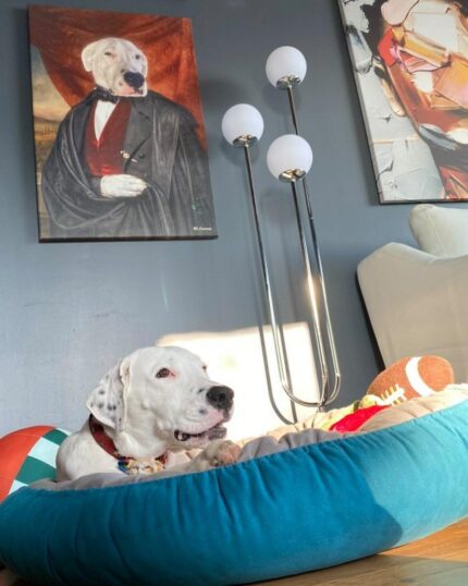 Dogo Arjantin Asil Bey Pet Kanvas Tablosu