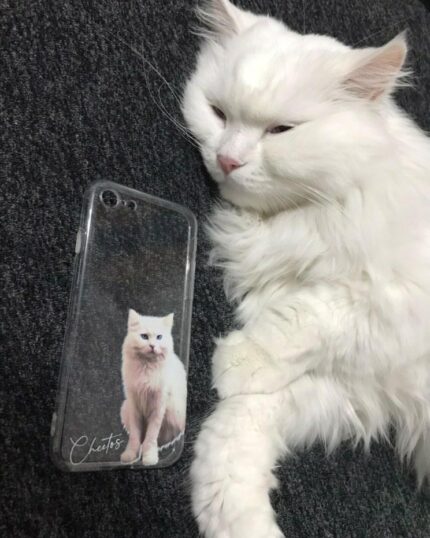 beyaz kedi telefon kılıfı