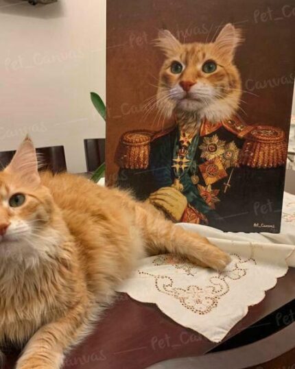 Sarman kedi genel portre petcanvas