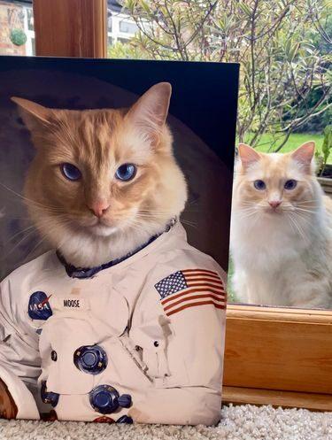 kedi astronot kanvas