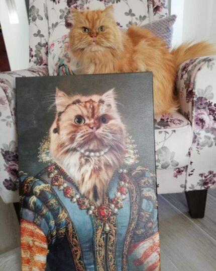 turuncu iran kedili dişi tablo