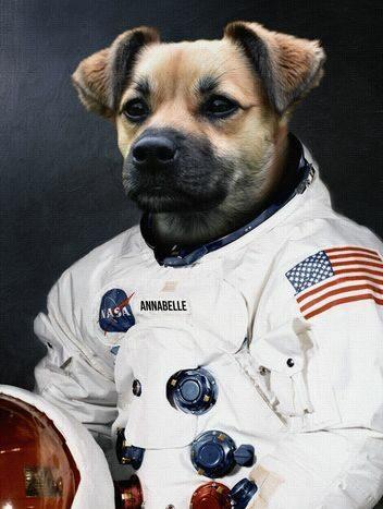 kangal astronot kanvas tablo