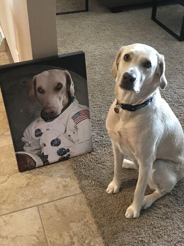labrador astronot kanvas