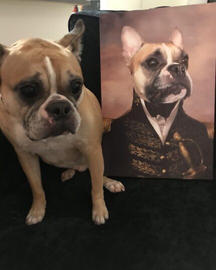 A brown and white bulldog sits on a black surface beside the "Special Design Canvas Painting – Noble Gentleman #10," a custom pet canvas featuring it in a regal military uniform—ideal for fans of personalized pet art.