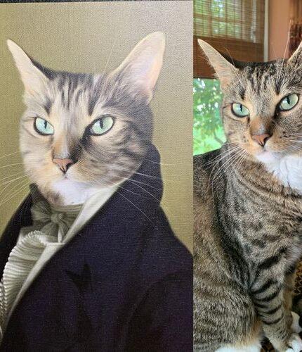 özel tasarım tekir kedi tablosu