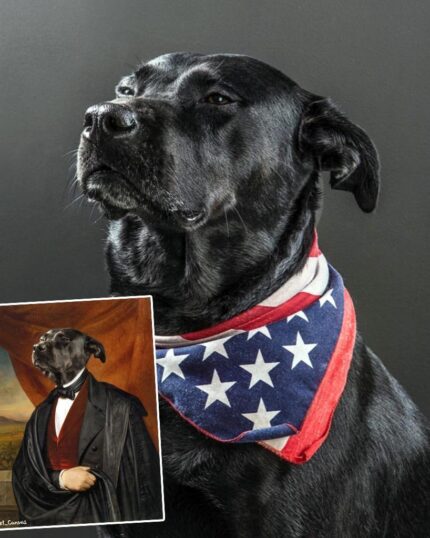 A black dog in a star-spangled bandana poses confidently. An inset displays “The Noble Gentleman #11 - Custom Design Pet Canvas,” showing the dog in suit and cape, styled as a historical portrait with a scenic backdrop.