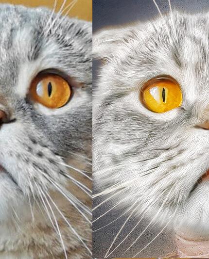 scottish şövalye çizim zoom