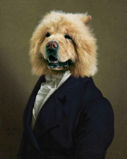 ChowChow Asil Bey kedi portre