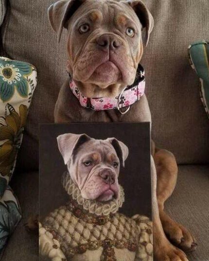 buldog kraliçe tablosu