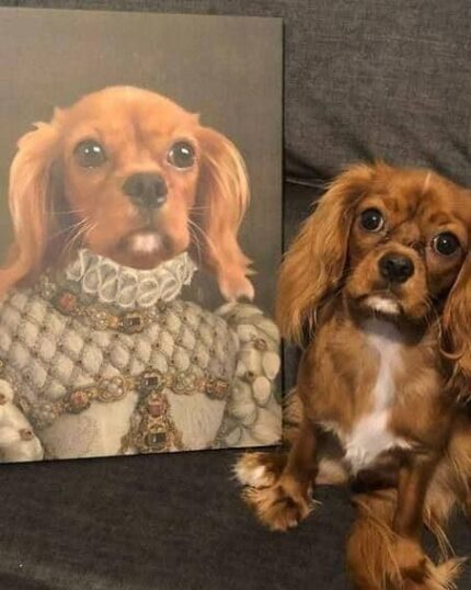 cavalier kraliçe tablosu