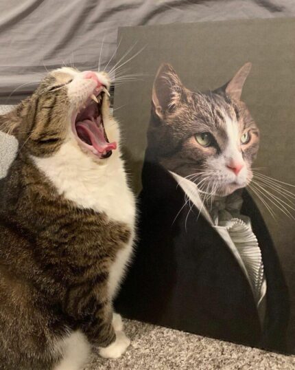 rönesans temalı kedi tablosu