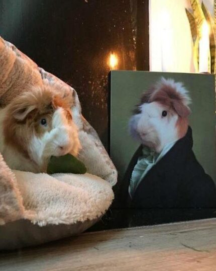 özel tasarım hamster tablosu