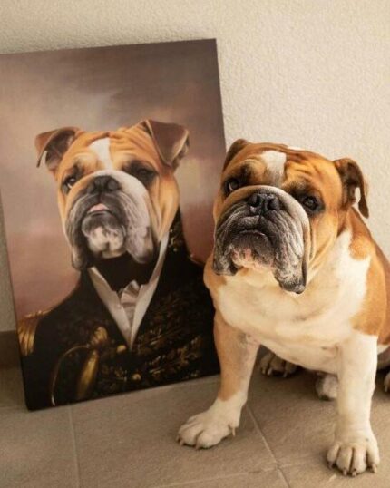 admiral buldog tablosu