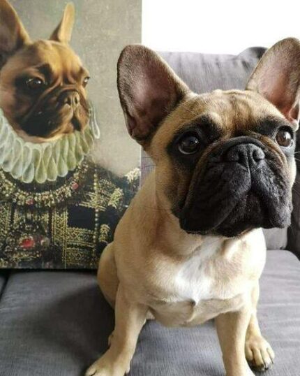 A French bulldog sits on a couch next to The Yellow Queen #7 - Custom Design Pet Canvas, featuring a dog in regal attire with a ruffled collar, crafted with expert canvas printing.