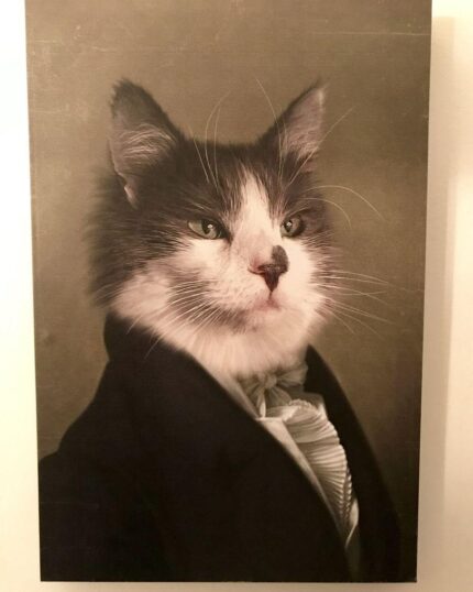 özel tasarım asil kedi kanvas tablo