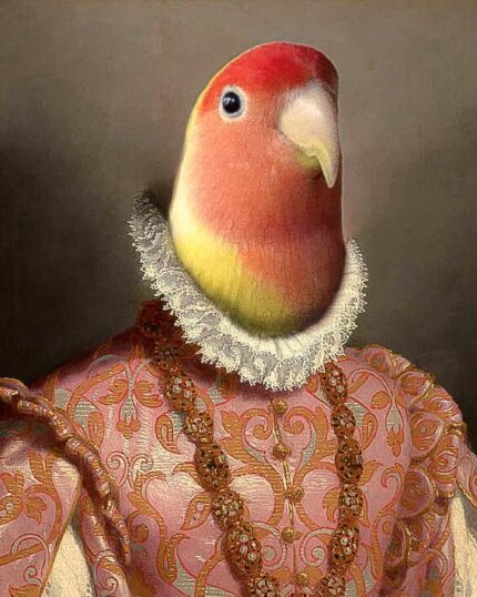The Noble Lady #4 - Custom Design Canvas features a digital bird artwork with a colorful head, ornate pink and gold Renaissance attire, and ruffled collar—perfect for custom pet canvas or canvas printing.