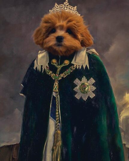 kraliçe toy poodle çizimi