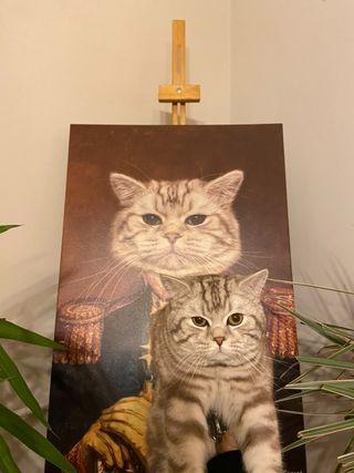 fatma tezcan general kedi