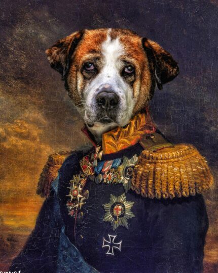 st bernard general tablosu