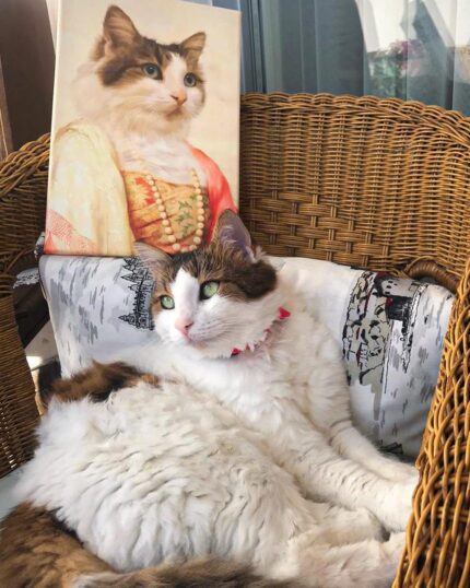 Asil Leydi Rönesans Kedi Tablosu